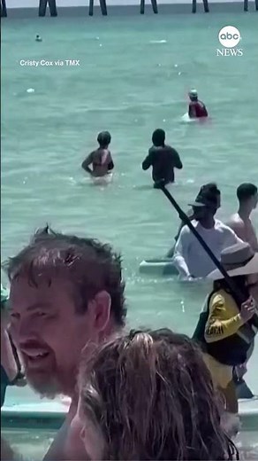 Shark surprises Fourth of July beachgoers in Florida Panhandle | ABC News