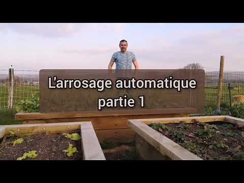 Arrosage au potager : pourquoi arroser et automatiser, quelle EAU utiliser, les + et les - .Partie 1