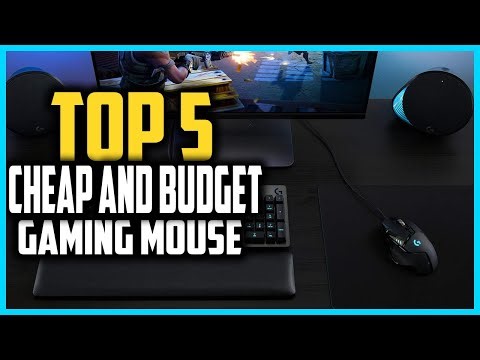 ✅ The Best Cheap And Budget Gaming Mouse of 2025