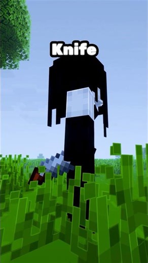 Don't trust this girl! #minecraft #minecraftshorts