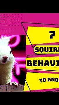 7 Squirrel Behaviors You Need to Know!
