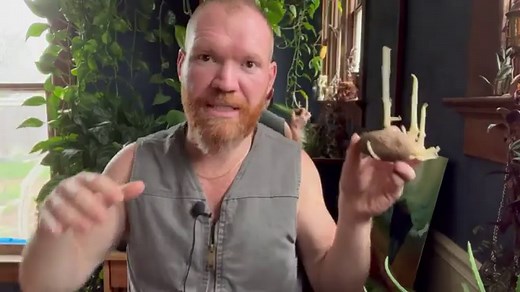 How to Chit Potatoes