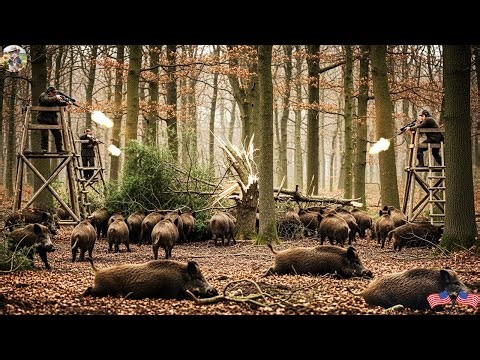 Wild Hogs Destroy Quiet Countryside - How Arizona Farmers Can Stop It - Perfect Hunting Trip