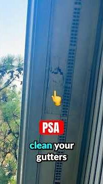 I Didn’t Clean My Gutters – Here’s What Happened!!