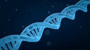 Difference Between Leading Strand & Lagging Strand of DNA