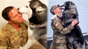 A compilation of dogs being reunited with their owners after a long time - this is so heartwarming! 🥺💖 | Pawsome Pets