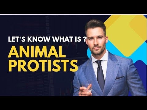 What are PROTOZOANS? Animal Like Protists (Protozoa) Lecture – Biology Class