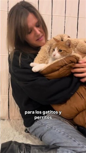 Cama térmica para gatos y perros friolentos ❤️‍🔥