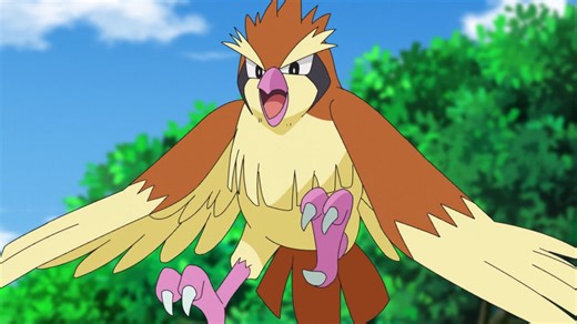 How to evolve Pidgey into Pidgeot in Pokemon GO (February 2023)