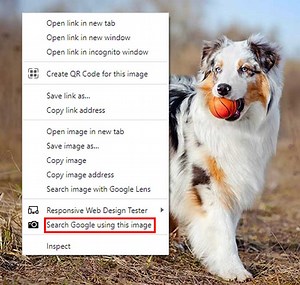 How to Get Around the Search image with Google Lens Feature in Chrome