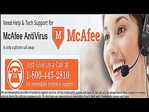 800 phone service | how to get a 1 800 number for my business