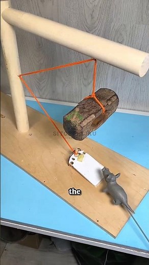 Cheap ways to get rid of mice at home!