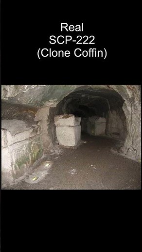 SCP-222 | Clone Coffin (SCP Library)