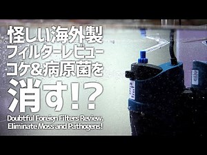 【なにこれ】謎海外アクア用品レビュー。日本製品と全く違うフィルターが登場。#399【アクアリウム】
