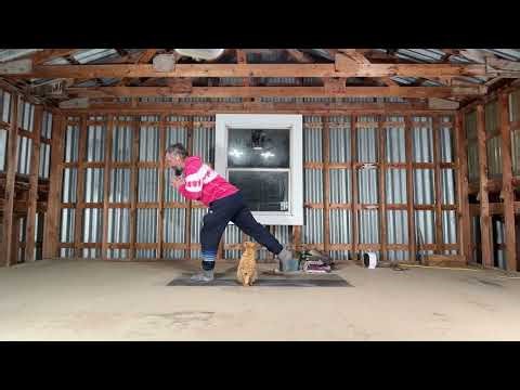 Subtle Body Yoga for Alignment, Breath & Quiet Strength