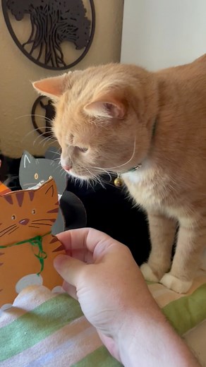 Easy Cardboard and Paper Roll Cat Craft Activity 🐈🐾 Looking for a fun and easy art to create with the kids? These adorable little cats made from cardboard and toilet paper rolls are the purr-fect project! They are a simple afternoon art project or party activity. Whether you want to create a mini version of your own furry little friend or let your imagination run wild and craft a unique kitty, this DIY is sure to make you smile. Everyday should be International Cat Day! Inspired by: andrea.nel