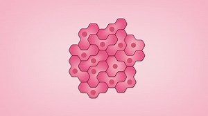 Risk Factors - National Breast Cancer Foundation