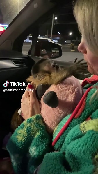 We loveeee god mommy 🩷😊 #monkey #life #babygirl #viral #monkeylove | monkey