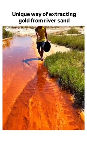 How Do Things Work on Instagram: "Gold can be extracted from river sand mainly through density-based separation. First, sand is collected from riverbeds where gold deposits are likely. The material is then washed in a pan, sluice box, or similar setup. When water is added and the mixture is shaken or allowed to flow, the lighter sand and silt are carried away, while gold particles—which are heavier—stay at the bottom. Sometimes magnets are used to remove magnetic minerals like iron sand, leaving