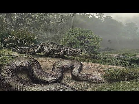 World's BIGGEST Snake ever, Titanoboa
