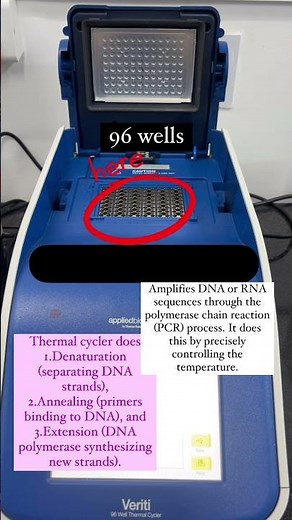 PCR thermocycler