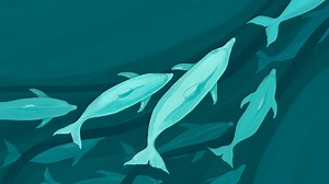 Migrating Facebook to MySQL 8.0