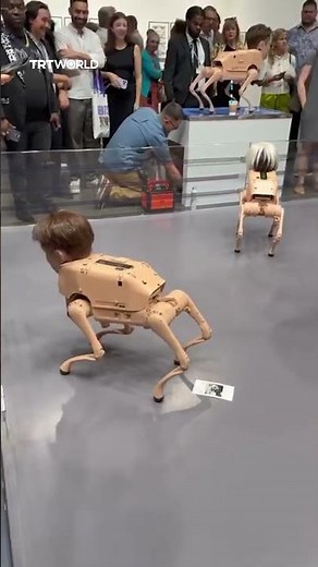 Robot-dog art installation features billionaires and artists