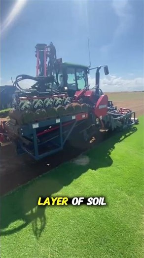 How Do They Harvest Perfect Grass Rolls?