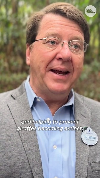 Adorable baby giraffe makes debut at Disney's Animal Kingdom