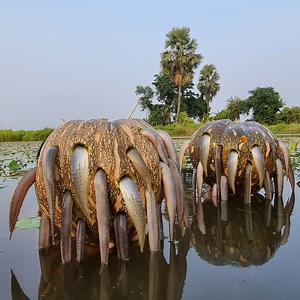 3.6M views · 25K reactions | Unbelievable Fishing Trapping System With Pumpkin Smart Boy Easy Build Fish Trap Beautiful Village Pond #fish #fishing #fish_trap #pumpkin_trap | Fisherman Animal Lover-Original | Facebook