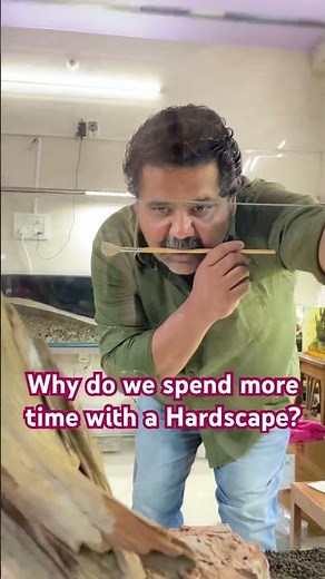 Want to MASTER Aquascaping through Hardscaping? Watch This Now