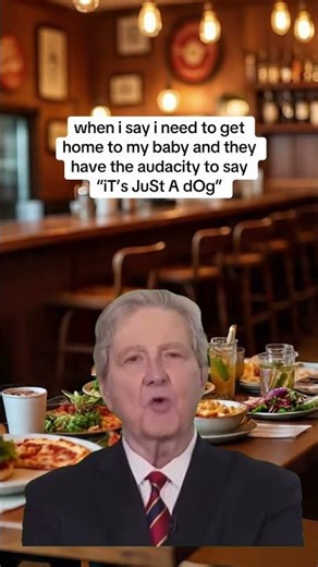 Kev the Whip | Dumbest Person #kevthewhip #dogmemes