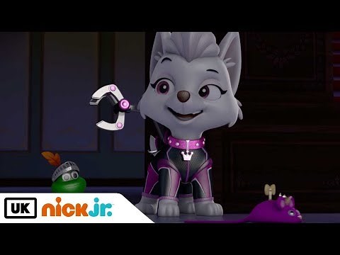 Paw Patrol | Mission PAW Part 1 | Nick Jr. UK