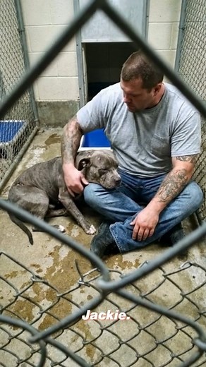 452K views · 16K reactions | The sign on the cage read: "CAUTION:...