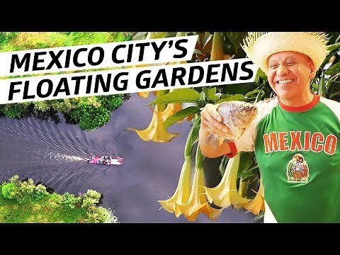 How Mexico City's Mysterious Floating Gardens Helped Feed the City For Hundreds of Years