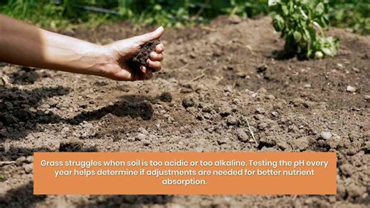 10 Simple Tricks to Keep Your Lawn Lush and Green All Year