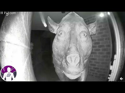 10 Horror Videos So Paranormal They Defy Logic - Inexplicable and Terrifying