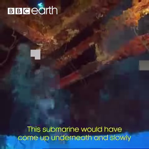 76K views · 810 reactions | Could humans ever live underwater? | BBC Earth | Facebook