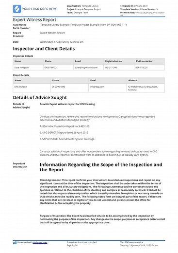 Construction Expert Witness Report Example and Template