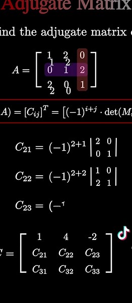 Adjugate Matrix Explained Visually | Step-by-Step Tutorial