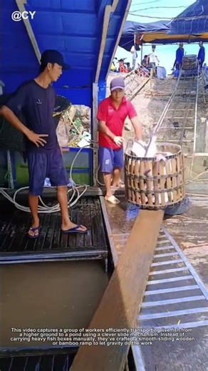 "Genius Fish Transport Hack! 🌾 Sliding Fish Boxes to Pond – Easy & Fast"