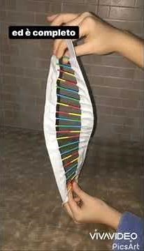 Come costruire un modellino di DNA