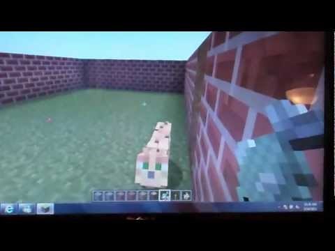 How to Make a Cat in Minecraft