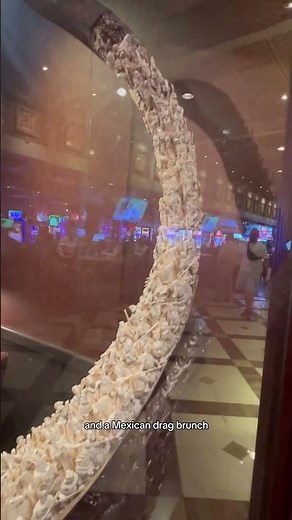 Treasure Island TI Las Vegas Hotel Overview Review Experience Budget Travel Resort on The Strip