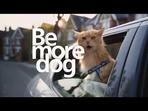 O2 "BE MORE DOG"