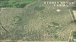 13K views · 267 reactions | There are more than 500 corn mazes created across the country each year. In tonight’s Weekend Journal, we look at one of the biggest mazes found in a field in rural Minnesota. | CBS Evening News | Facebook