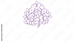 Animated linear violet icon of tree with leaves. Line symbol is drawn gradually. Concept of organic food, gardening, ecology, nature. Vector illustration isolated on white background. Stock Video