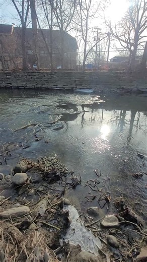 This sunny day is a good reminder to take in the mental and physical health benefits of nature, including our Chicago-Calumet River system ✨️ #chicagoriver #chicago #nature #naturephotography | Friends of the Chicago River