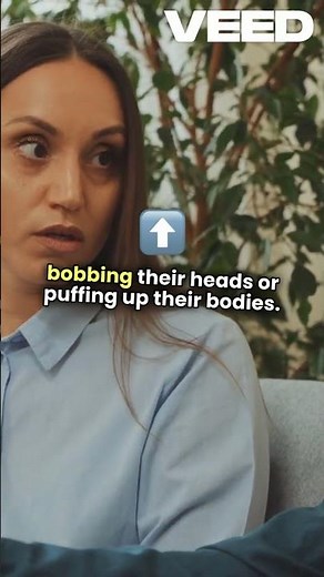 Iguanas: The Most Unbelievable Reptile Facts