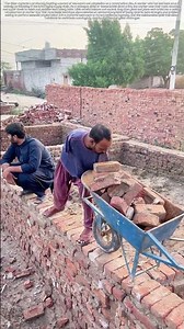 Bracing the Burden: How a Determined Worker Moves Bricks Without Arms